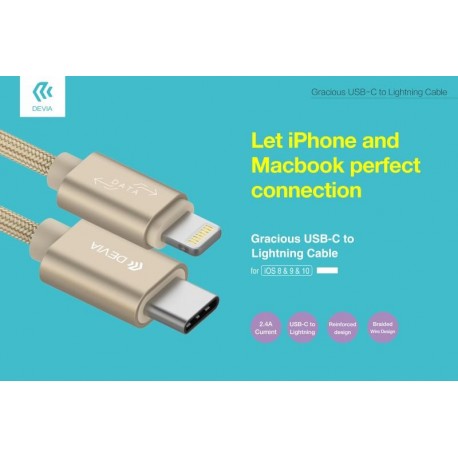 Cavo Dati e Carica da Lightning a USB Tipo C 2.4 A. Grigio