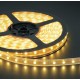LED R3528B 4.8W-4000K/IP44/12V-330LM70056456-5Mt